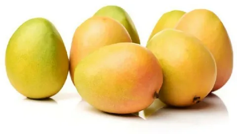 keshar mango